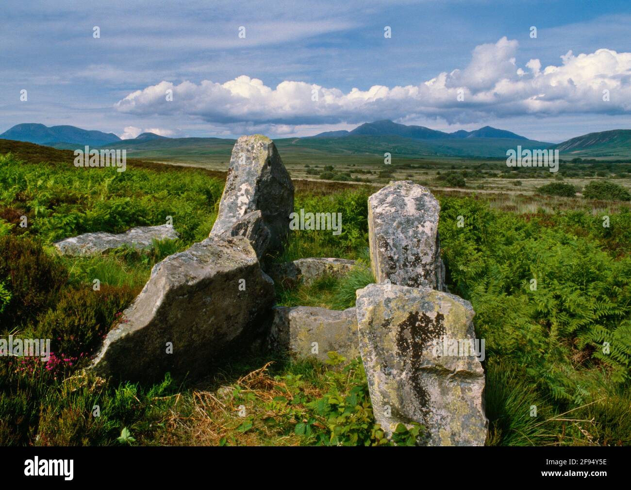 Tormore I Neolithic chambered tomb, Arran, Scotland, UK, looking NE from rear of the Clyde-type burial chamber with 3 compartments to the entrance. Stock Photo