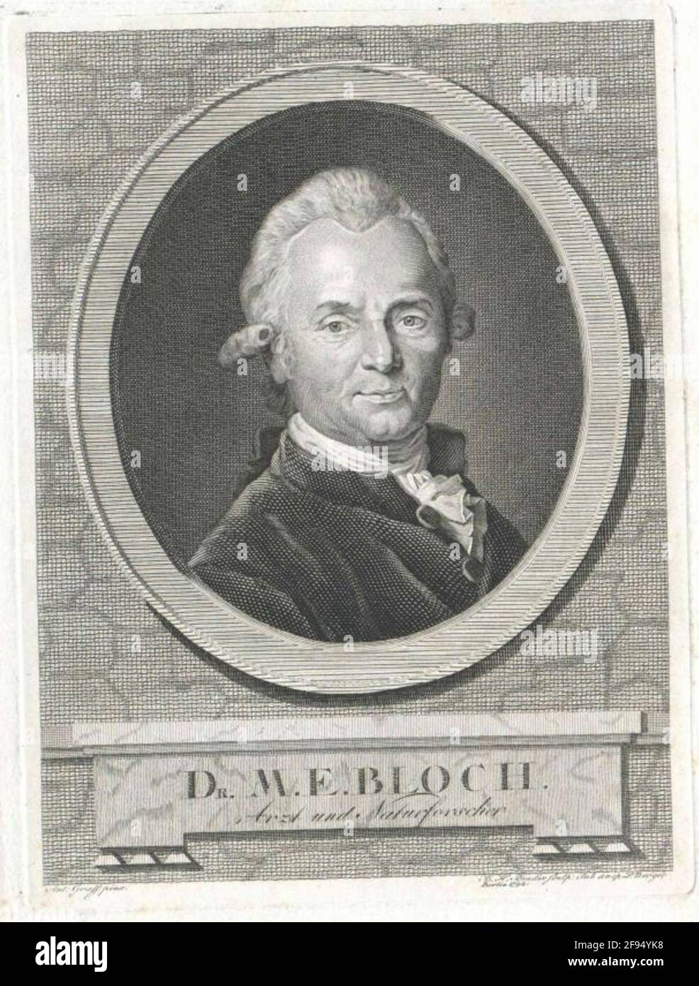 Bloch, Markus Elizier Stock Photo Alamy