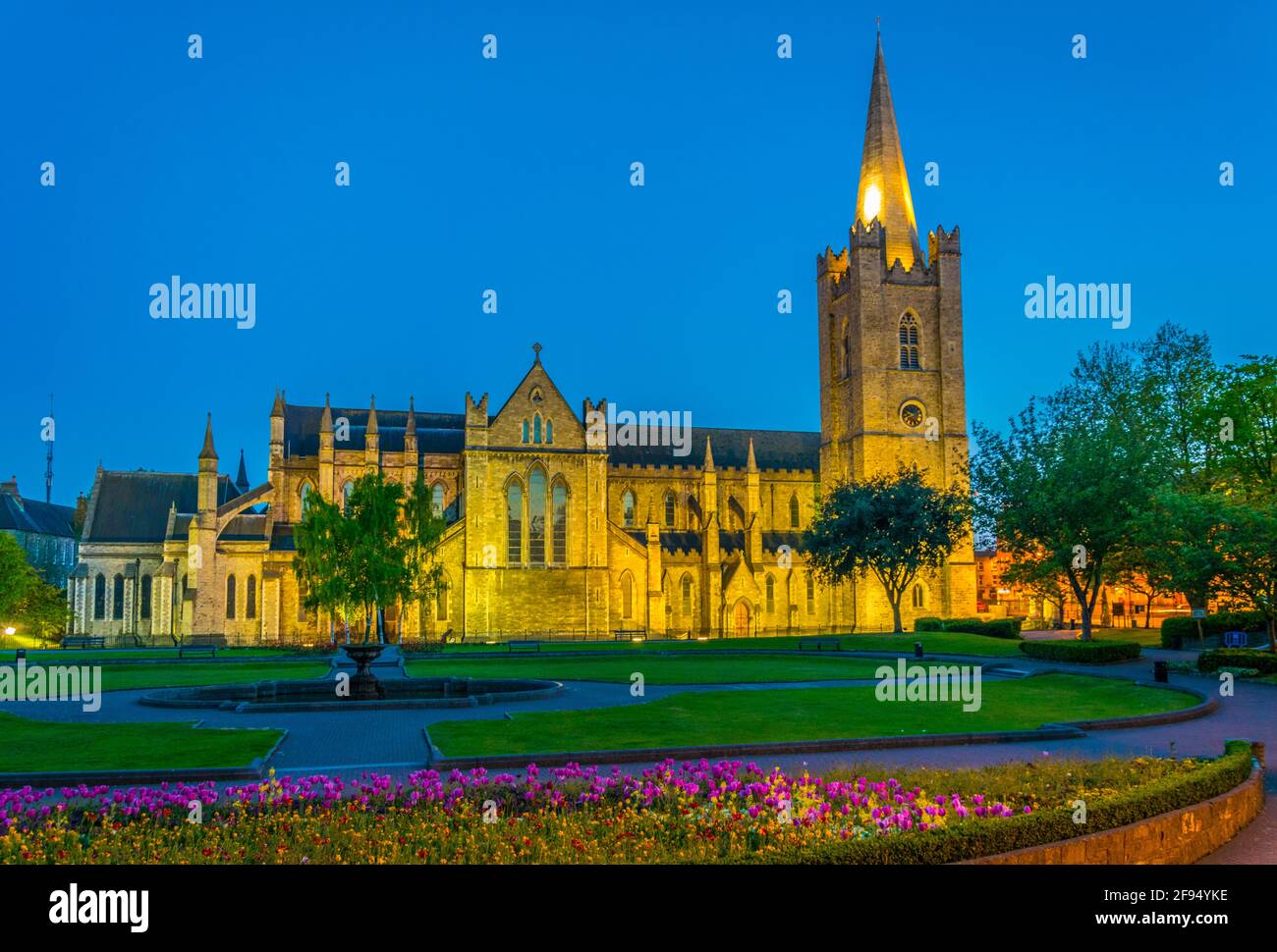 Night view of the St. Patrick's Cathedral in Dublin, Ireland Stock ...