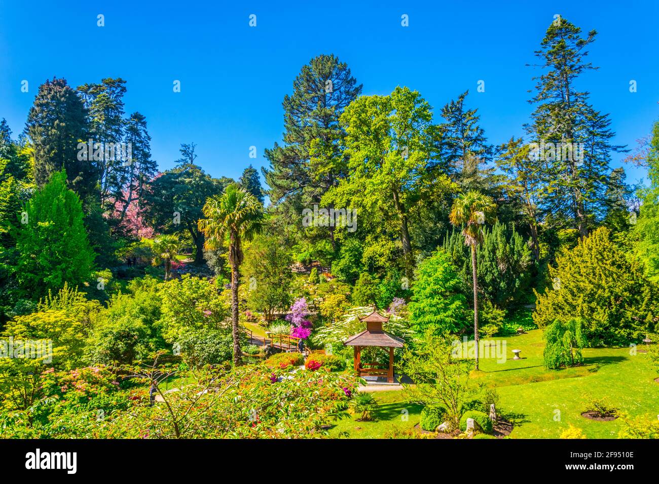 Japanese garden inside of the Powerscourt Estate in ireland Stock Photo