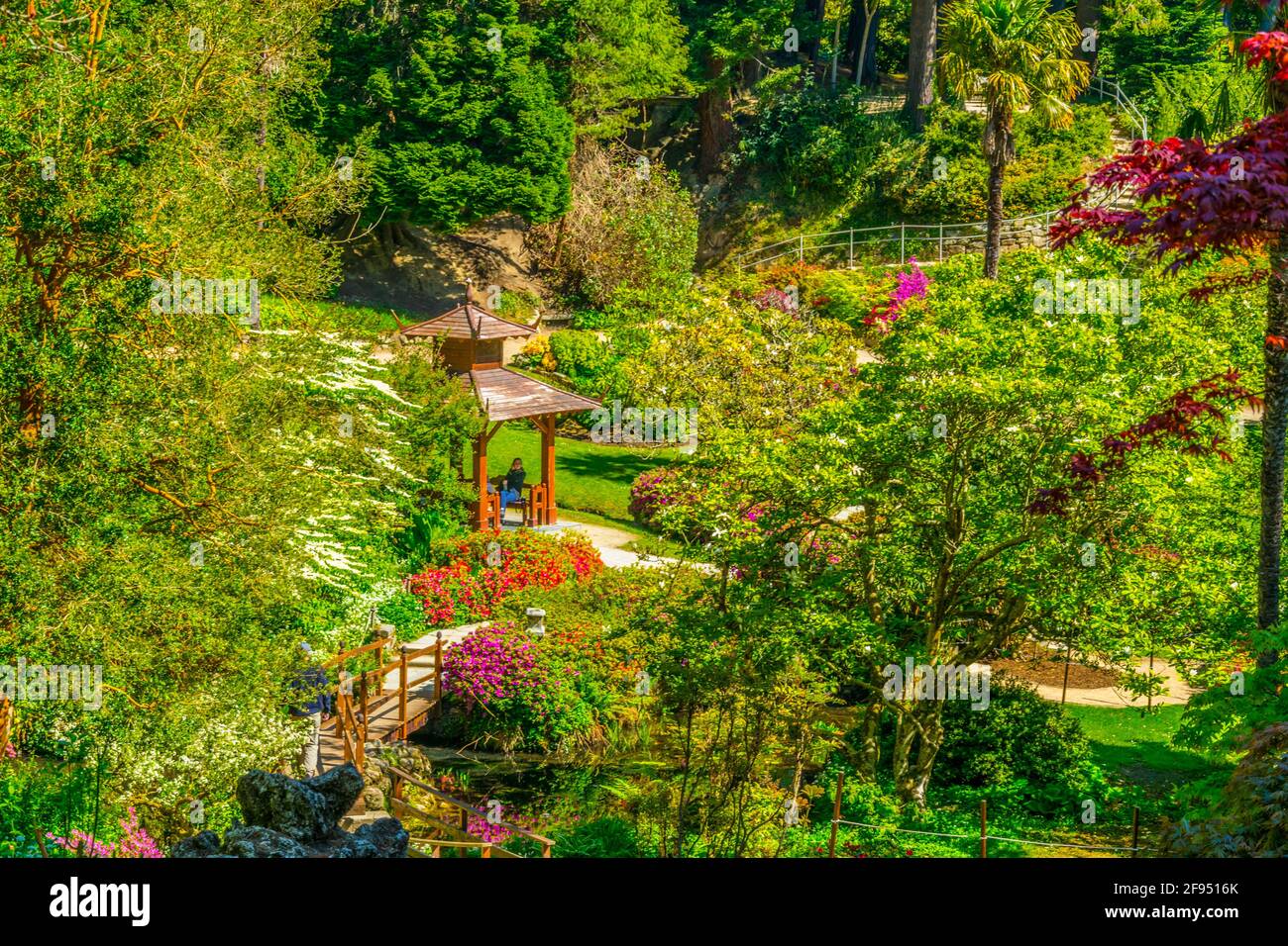 Japanese garden inside of the Powerscourt Estate in ireland Stock Photo