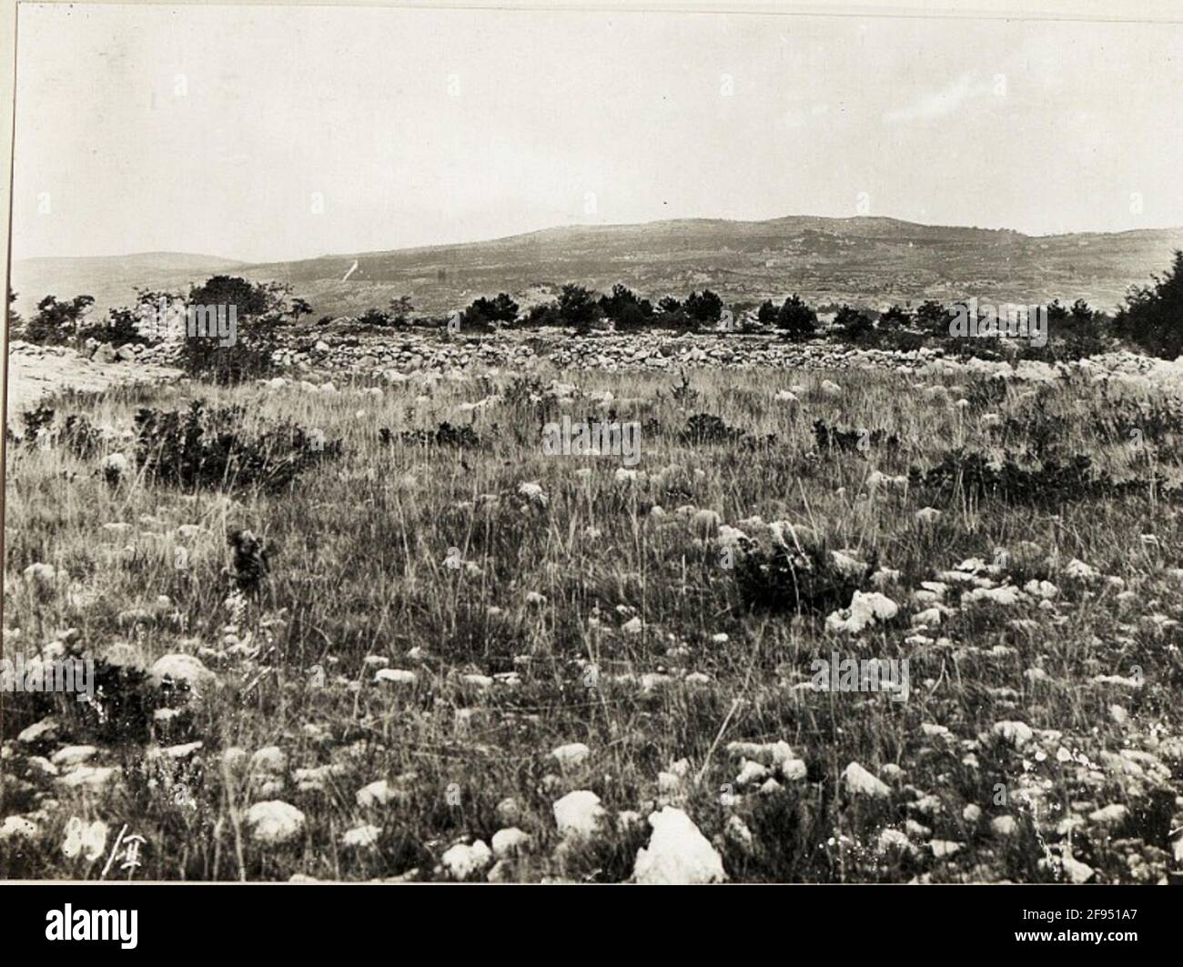Wwi battlefield aerial hi-res stock photography and images - Alamy