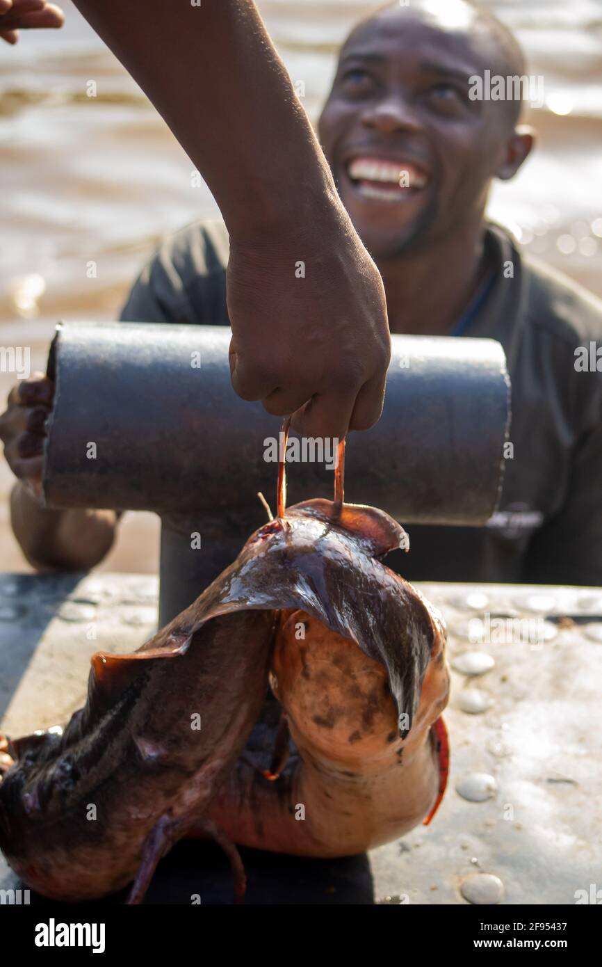 Full of jokes, selling catfish to people (stuffed between cars & cassava) traveling down the Congo river on cargo barges. Democratic Republic of Congo Stock Photo