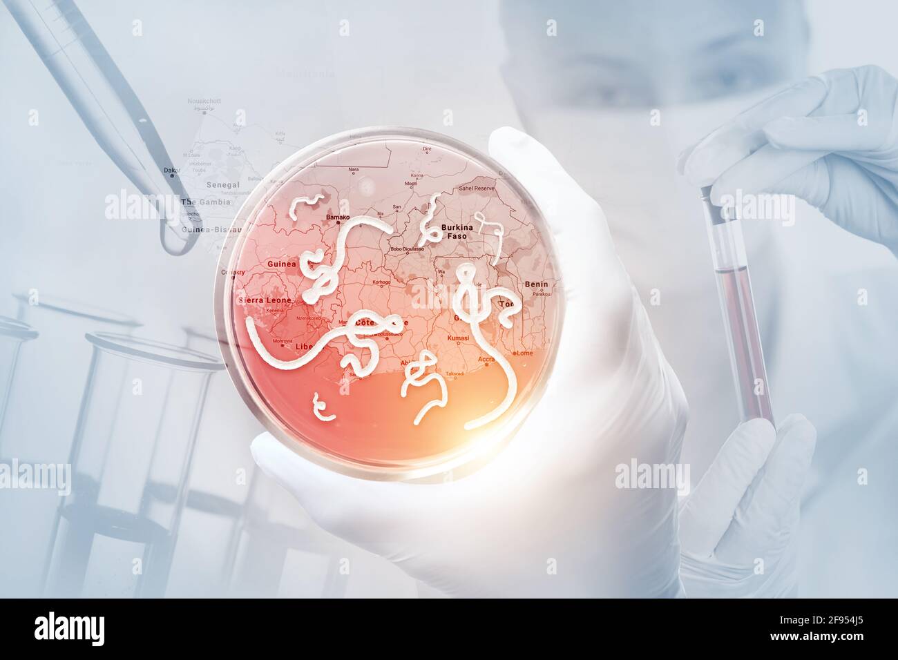 Microscopic view of the Ebola virus. Medical concept. Stock Photo
