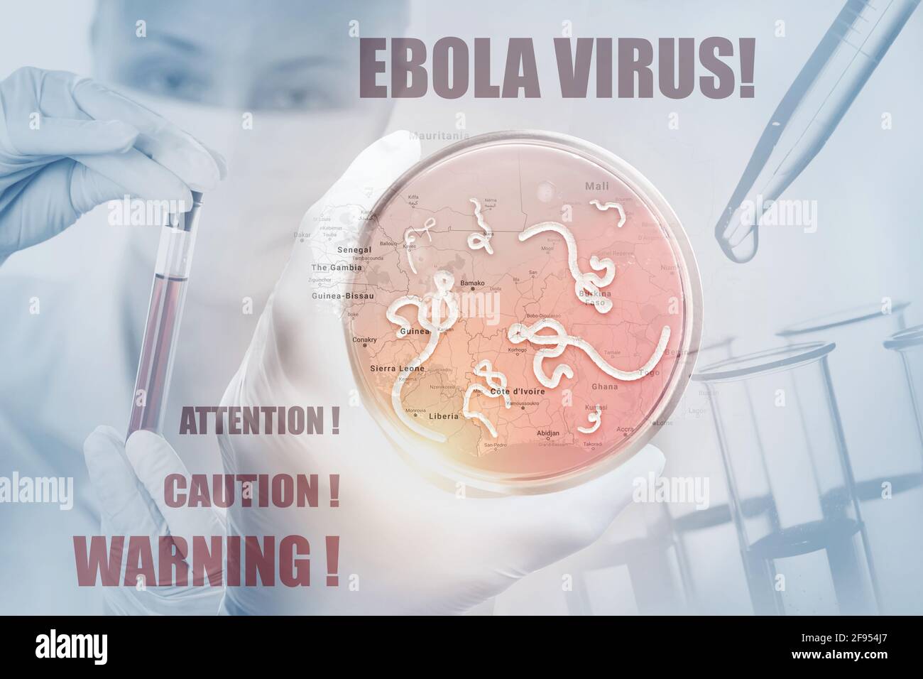 Microscopic view of the Ebola virus. Medical concept. Laboratory research. Stock Photo