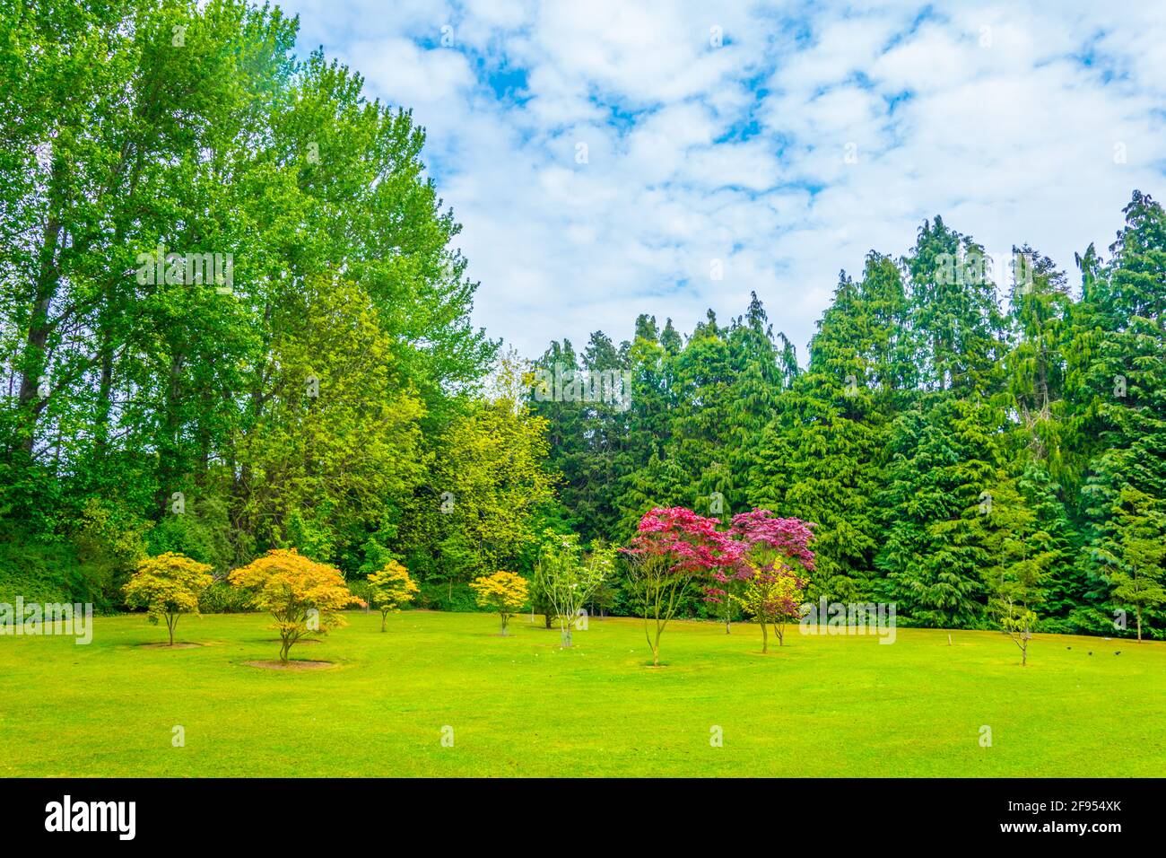 Malahide gardens in Ireland Stock Photo Alamy