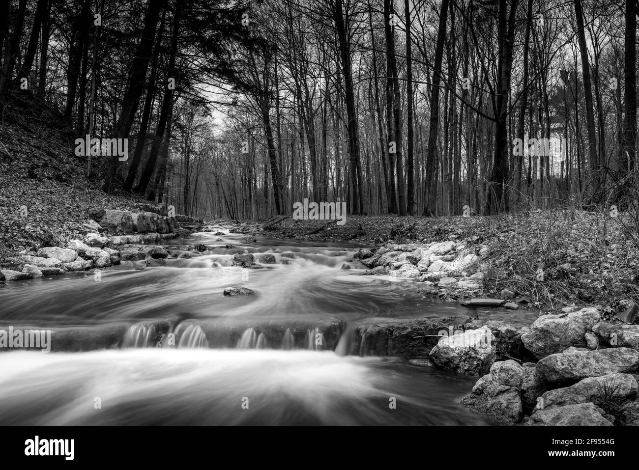Stream black forest hi-res stock photography and images - Alamy