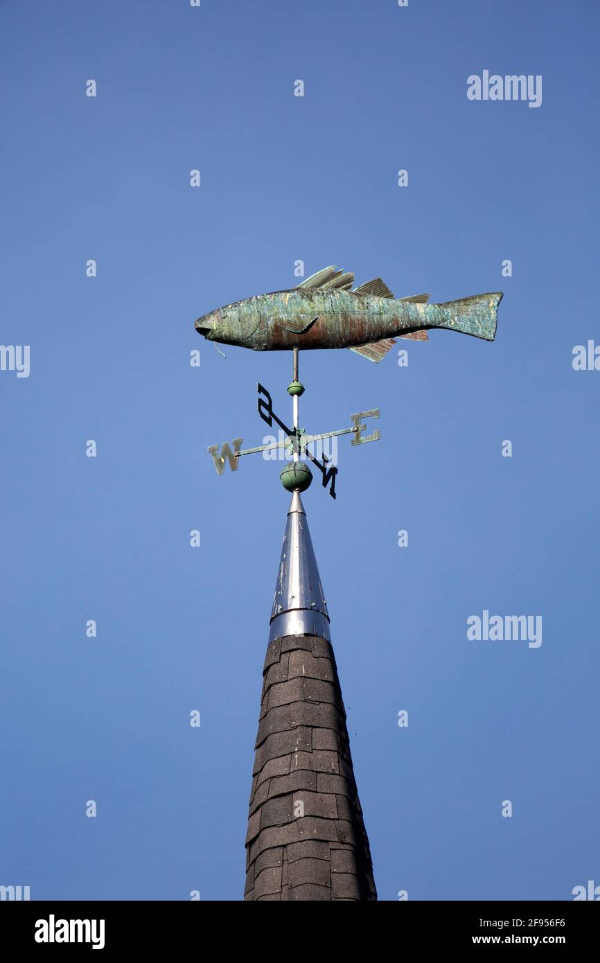 Fish on a weathervane in Lunenburg, Nova Scotia, Canada. The fish tops a spire. Stock Photo