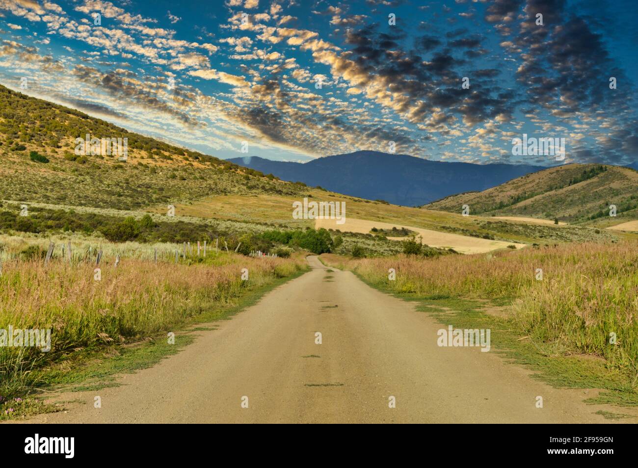 Road field cloudy sky cloud sky hi-res stock photography and images - Alamy