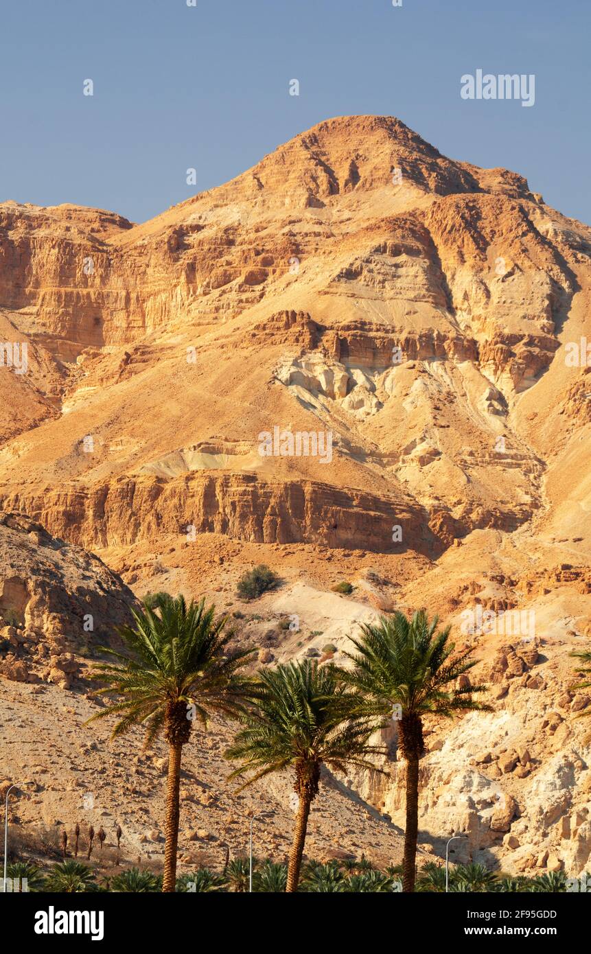 Dead Sea, Israel at the surrounding mountainous landscape. Stock Photo