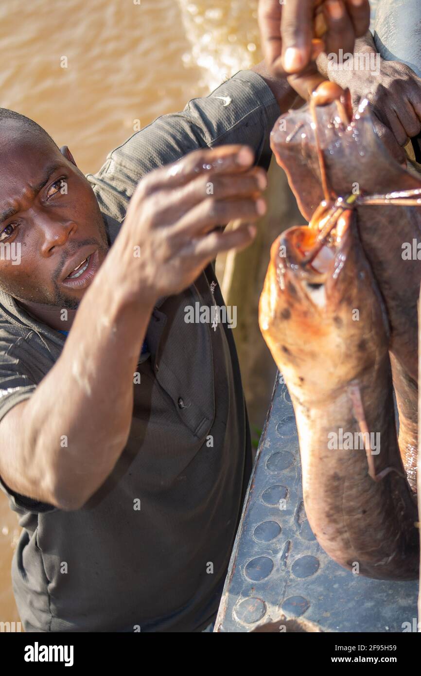 'Just one?' Selling catfish to people (stuffed between cars & cassava) traveling down the Congo river on cargo barges. Democratic Republic of Congo Stock Photo