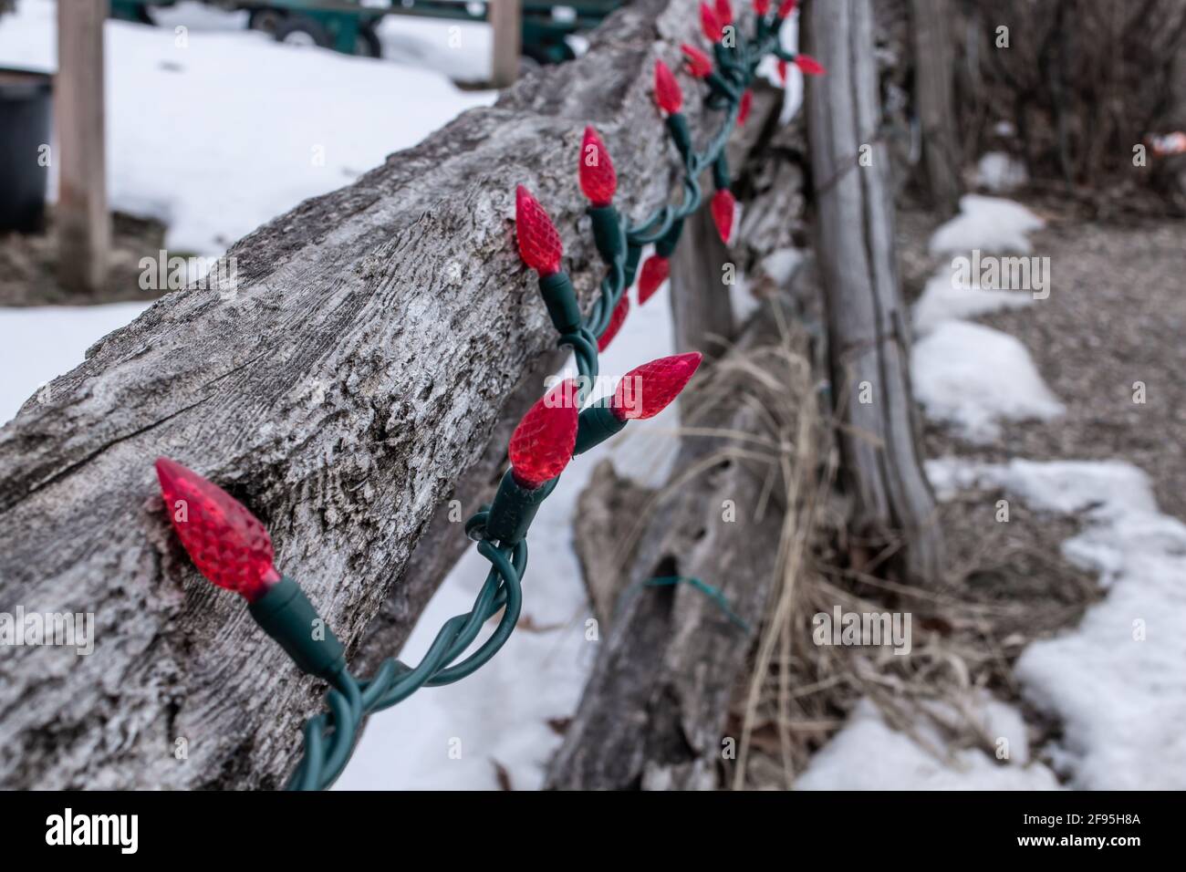 A tangle of red Christmas light bulbs unlit on an old rickety wooden fence in London Canada. Rustic holiday-themed decorations for the season. Stock Photo