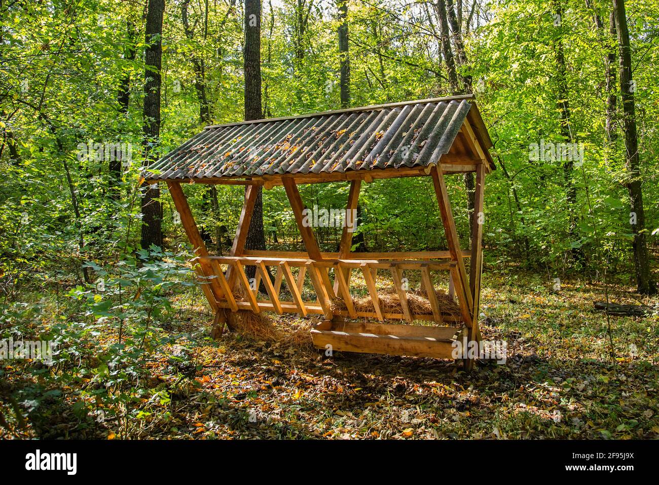 Fodder Rack Animals Spring fodder rack hi-res stock photography and images - Alamy