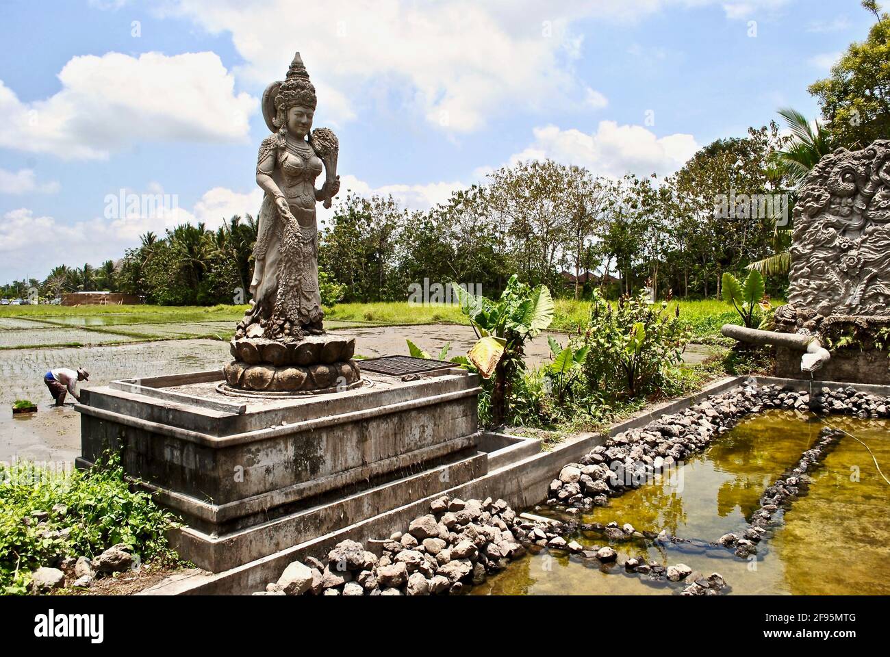Balinese Hindu statue with rice terraces in background. Dewi Sri or Shridevi is the Javanese, Sundanese, and Balinese goddess of rice and fertility. Stock Photo