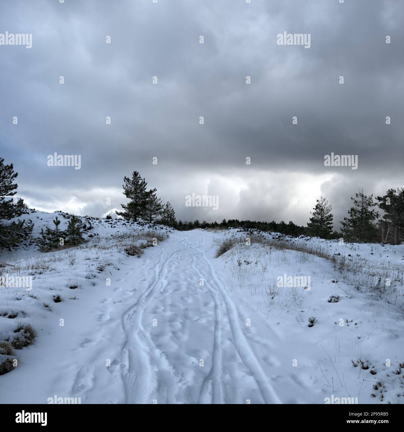 winter walk in Sicily snow covered path with prints and cloudy sky at the horizon in Etna Park Stock Photo