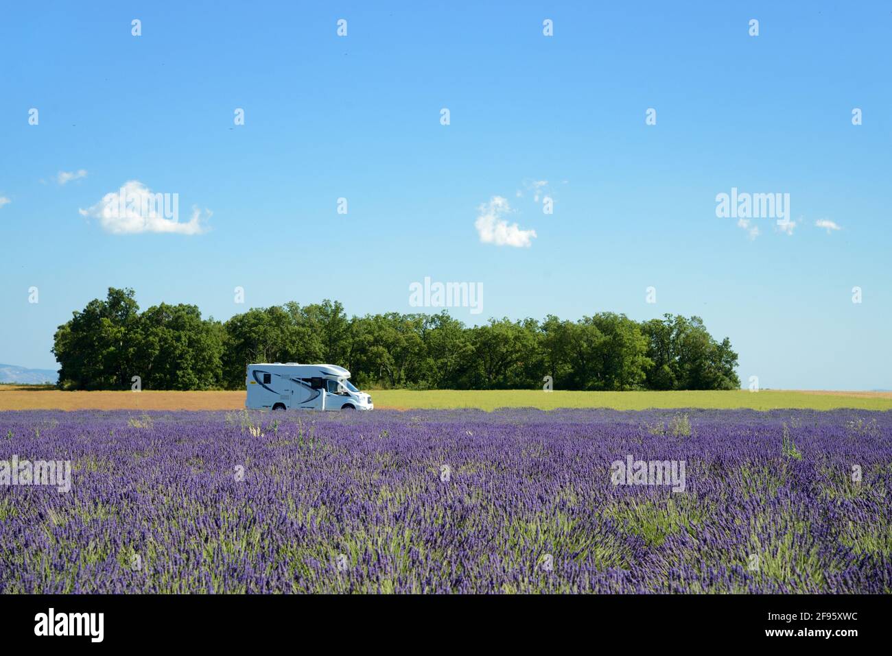 Single Camper Van, Motorhome, Recreational Vehicle or Camping Car Driving Through Lavender Fields Valensole Plateau Provence France Stock Photo