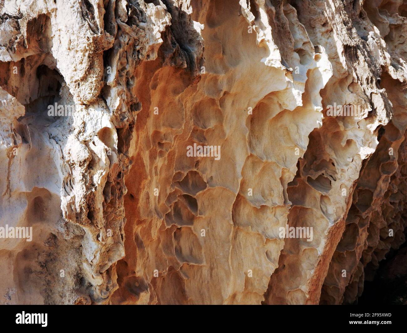 Surface sandy rock. Rocky shore of the Caspian Sea Stock Photo - Alamy
