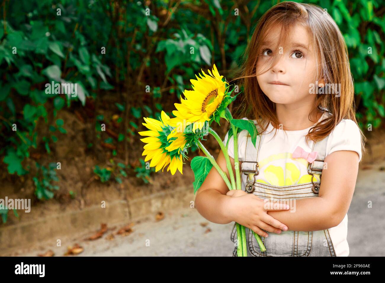 child girl holding sunflower flowers Stock Photo - Alamy