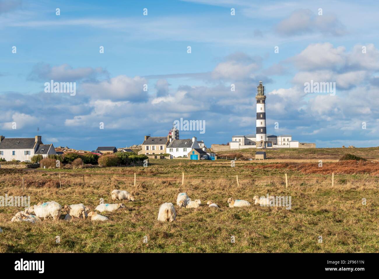 Lighthouse and Beacon of Ouessant, the island of Ushant, in Brittany, french rocky beach in northern France, Finistere department, Europe Stock Photo