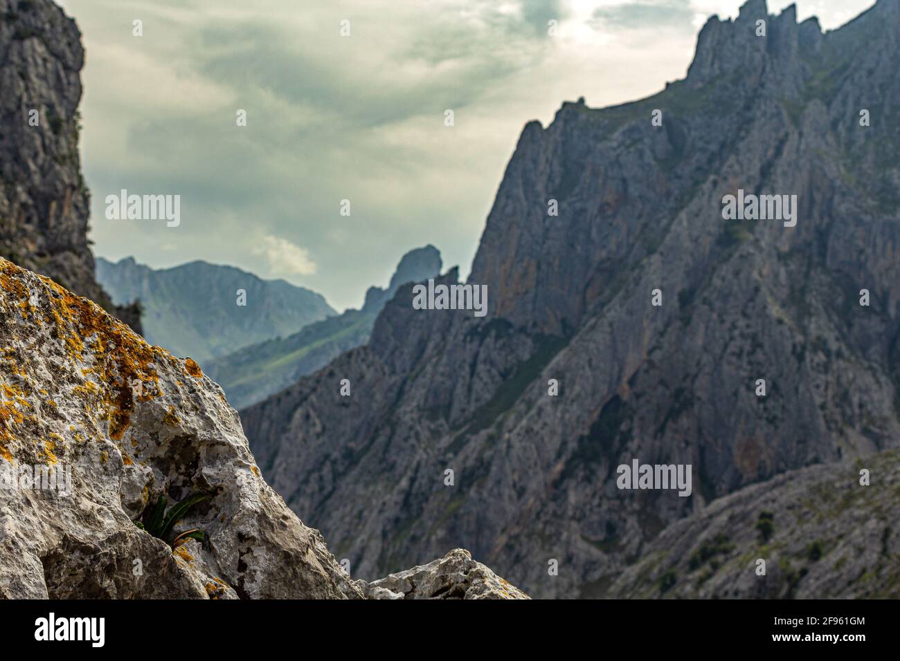 Stone focused with mountain in the background Stock Photo