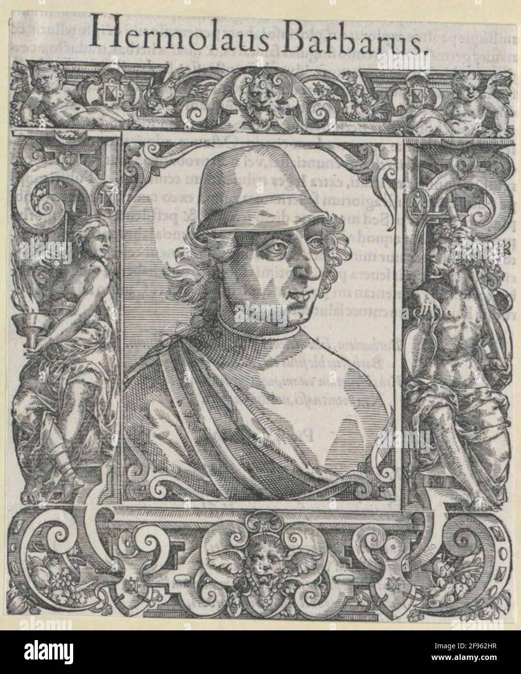 Barbaro, Ermolao Stock Photo Alamy