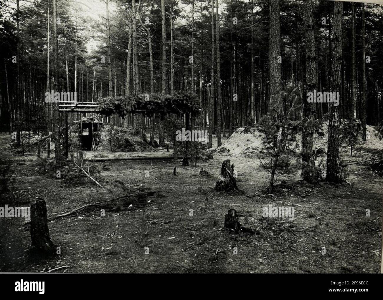 Russian Cossack camp in the forest Demba. . Stock Photo
