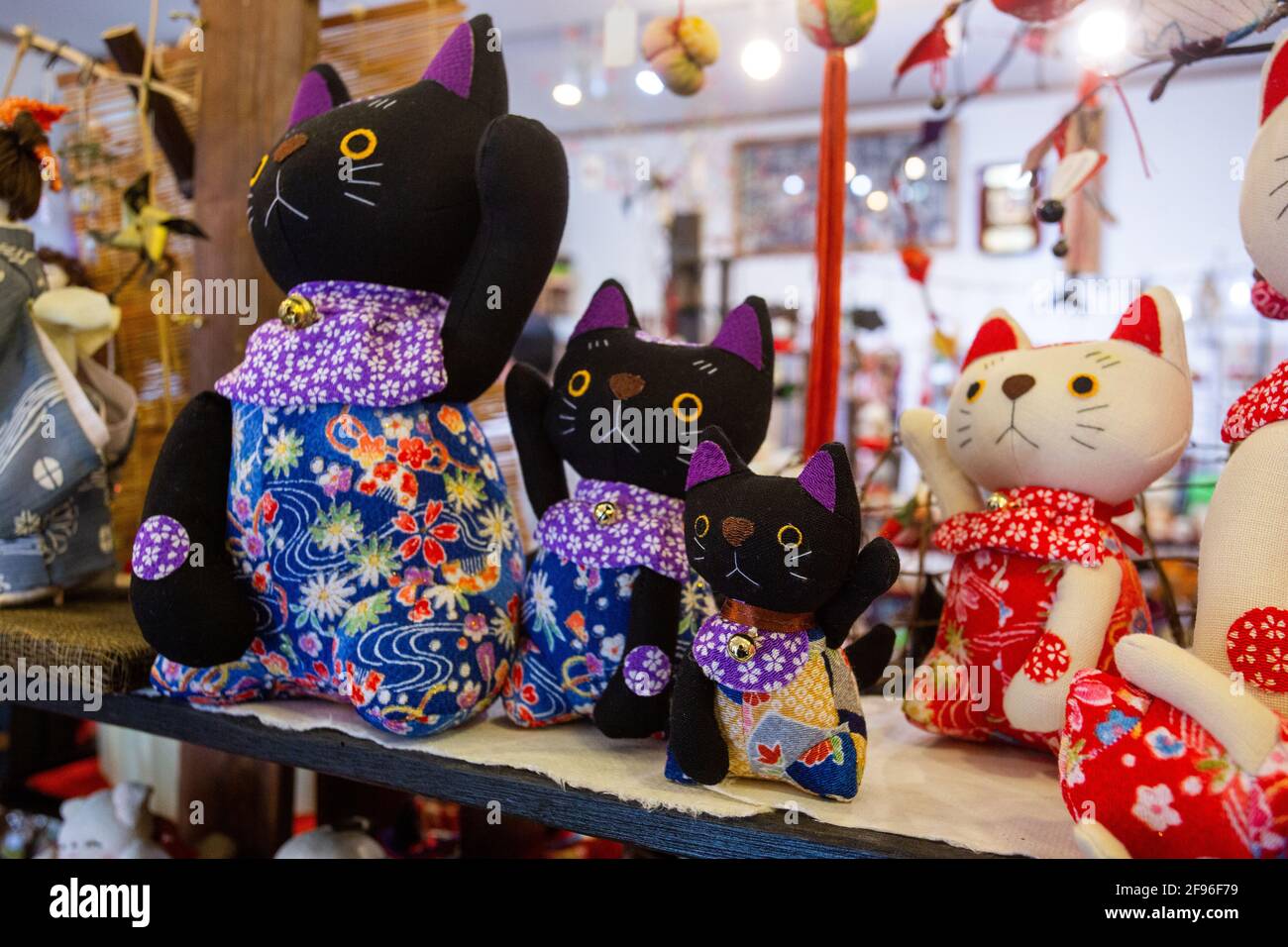 Japanese best sale cat store