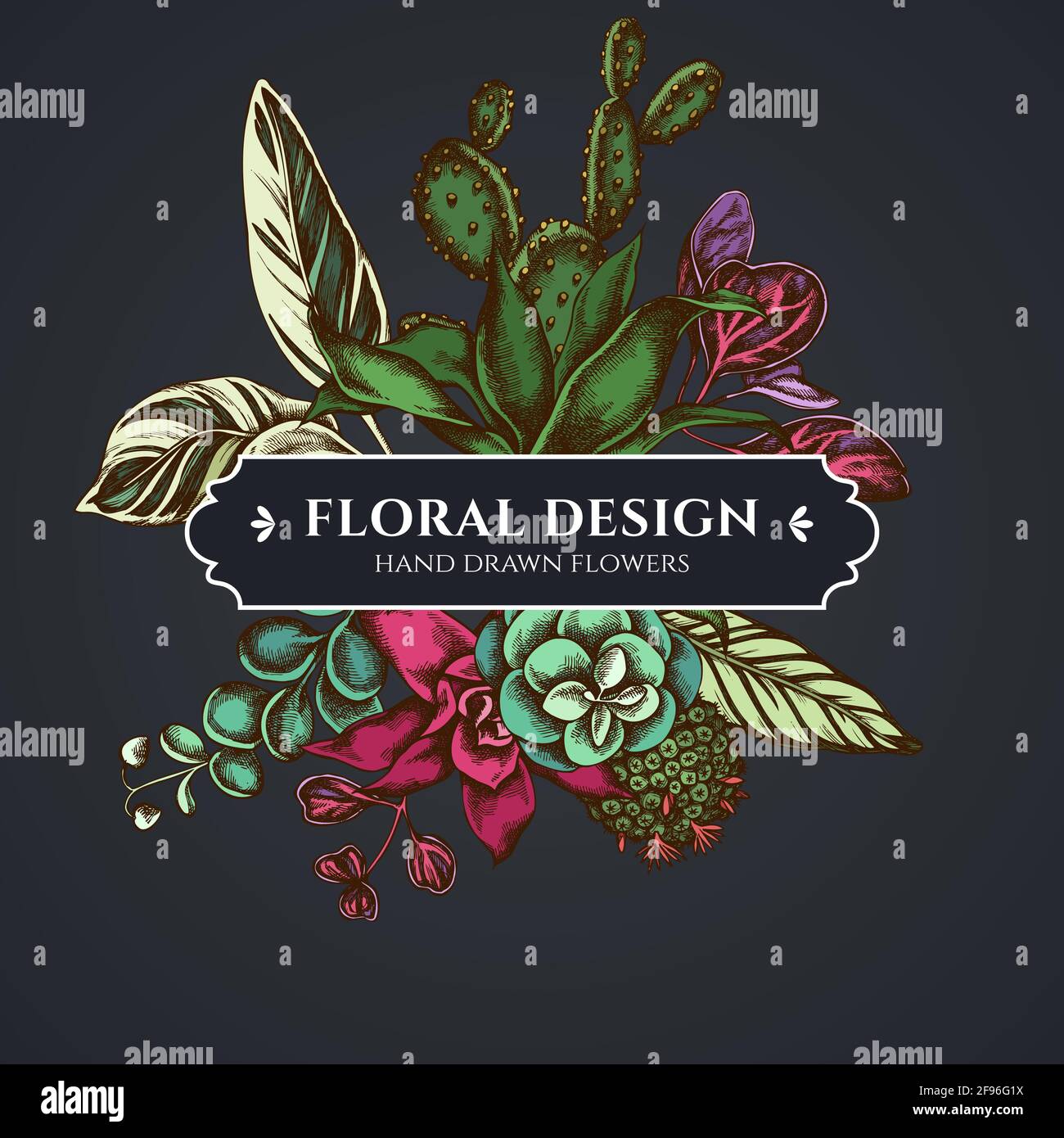 Floral bouquet dark design with ficus, iresine, kalanchoe, calathea, guzmania, cactus Stock Vector