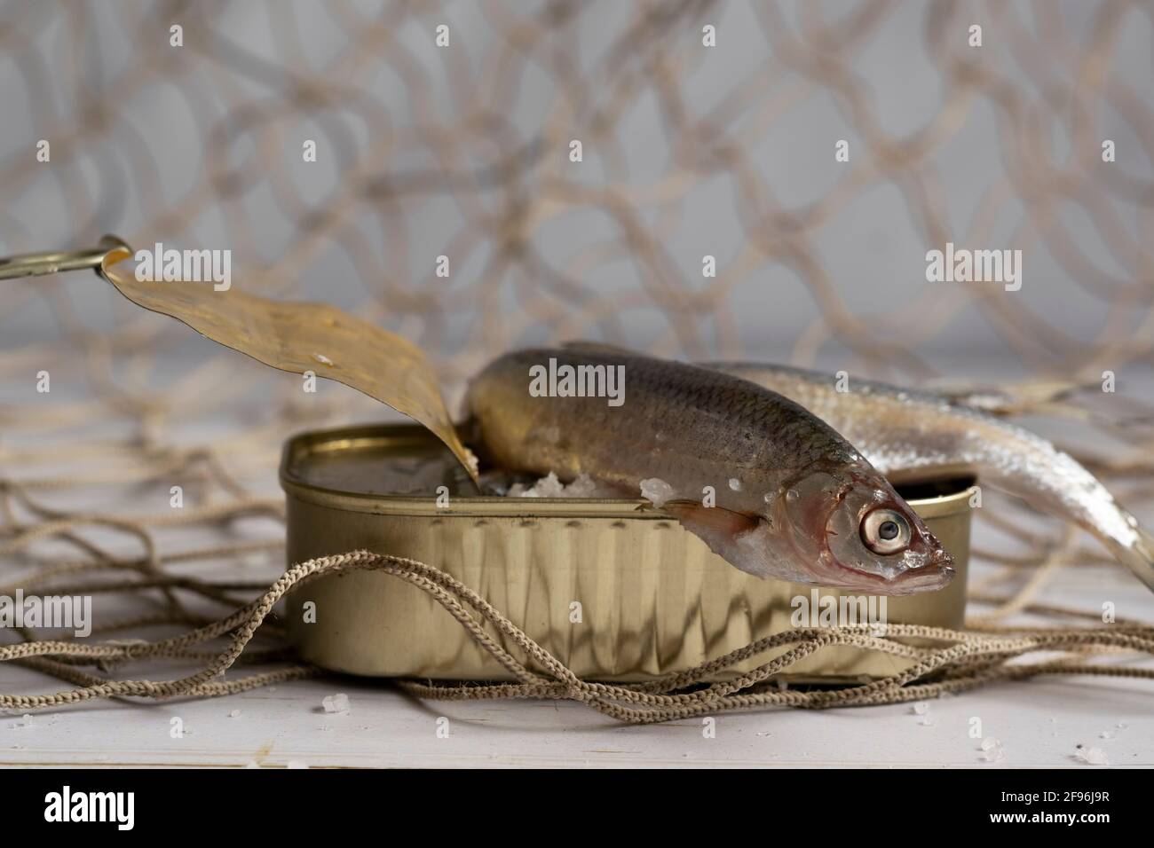 Fresh canned fish, healthy eating ingredients Stock Photo Alamy