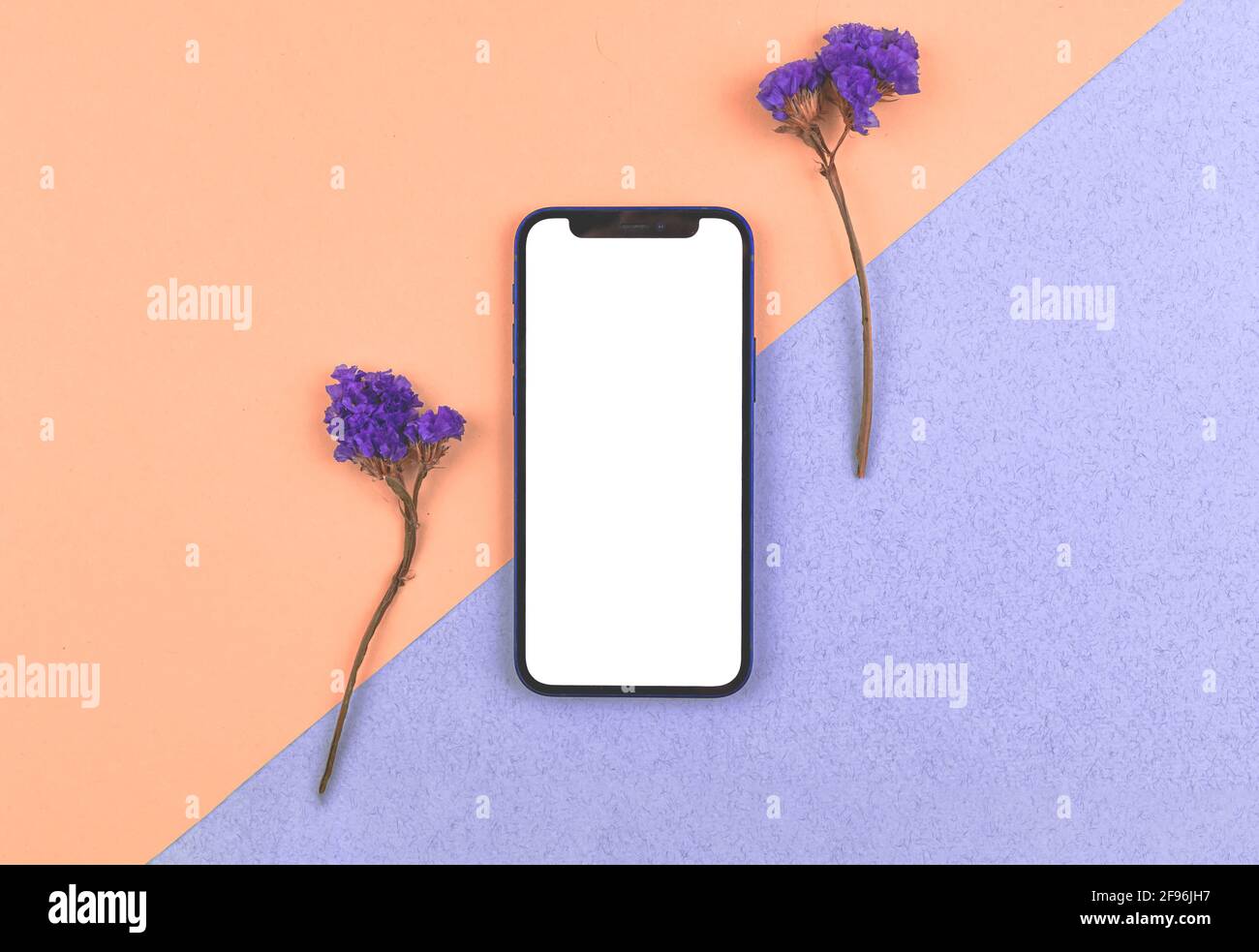 Kharkov Ukraine March 26 21 Flat Lay Mockup With Modern Mobile Phone Apple Iphone 12 With Blank White Screen Background With Dried Flower Stock Photo Alamy