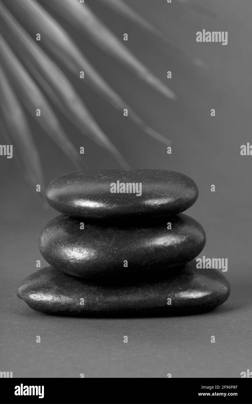 Stack of black zen balance stones with palm leaf in monochrome photography. Minimal arrangement. Creative concept of SPA. Copy space. Stock Photo
