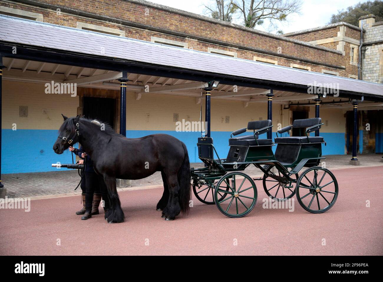 The Duke of Edinburgh's driving carriage and his two Fell ponies, Balmoral Nevis and Notlaw Storm, pictured at Windsor Castle, Berkshire. The Duke's love of carriage-driving is to be a central feature of his funeral on Saturday when the carriage and ponies will be present with two of his grooms in the Quadrangle of Windsor Castle during the procession. The four wheeled carriage was designed by The Duke of Edinburgh eight years ago. Notlaw Storm and Balmoral Nevis, born in 2008 are both Fell ponies, an endangered breed. Balmoral Nevis was bred by The Queen. Issue date: Friday April 15, 2021. Stock Photo