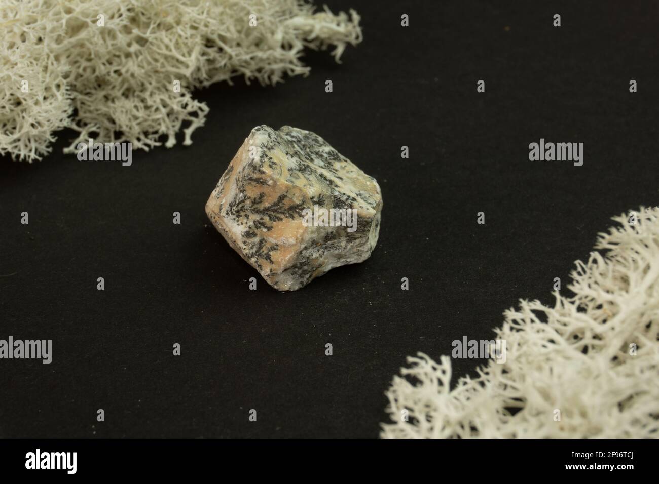 Dendrite manganese oxides from Morocco. Natural mineral stone on a black background surrounded by moss. Mineralogy, geology, magic, semi-precious Stock Photo