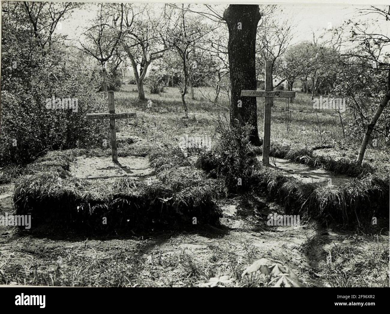 Female soldier graves hi-res stock photography and images - Alamy
