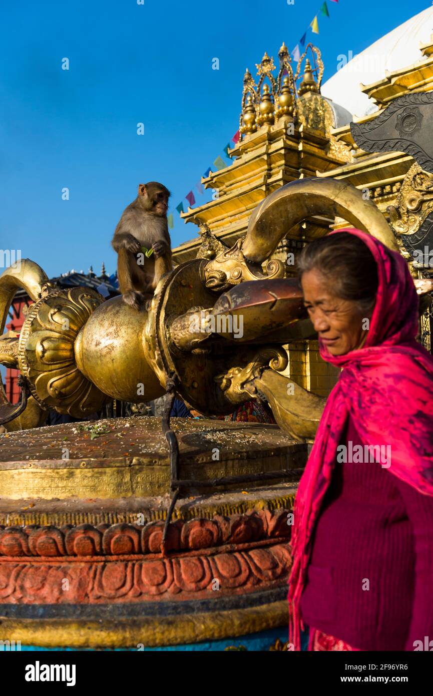 the monkey temple Swayambhunath stupa Stock Photo - Alamy