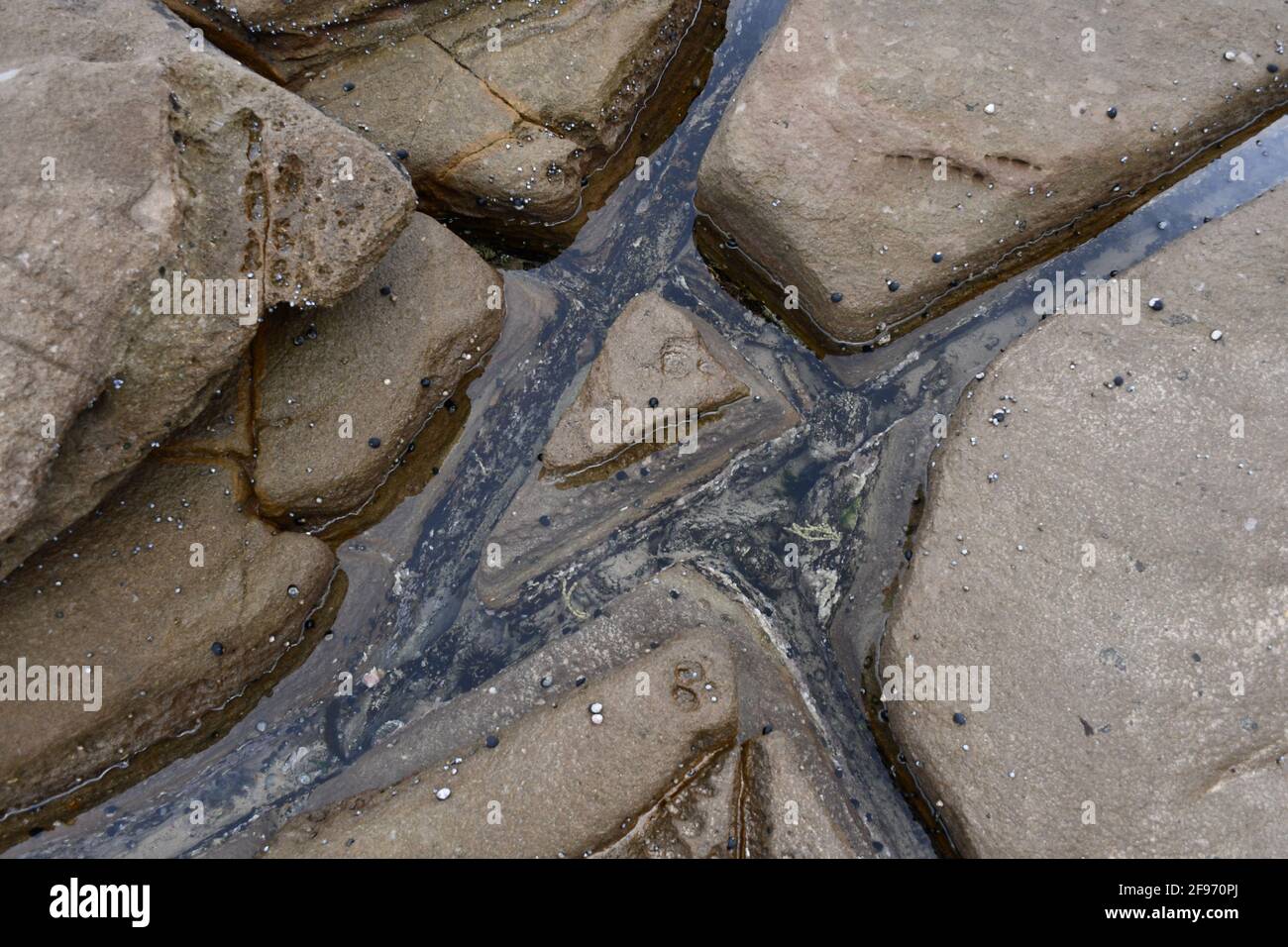 Rock with pits hi-res stock photography and images - Alamy
