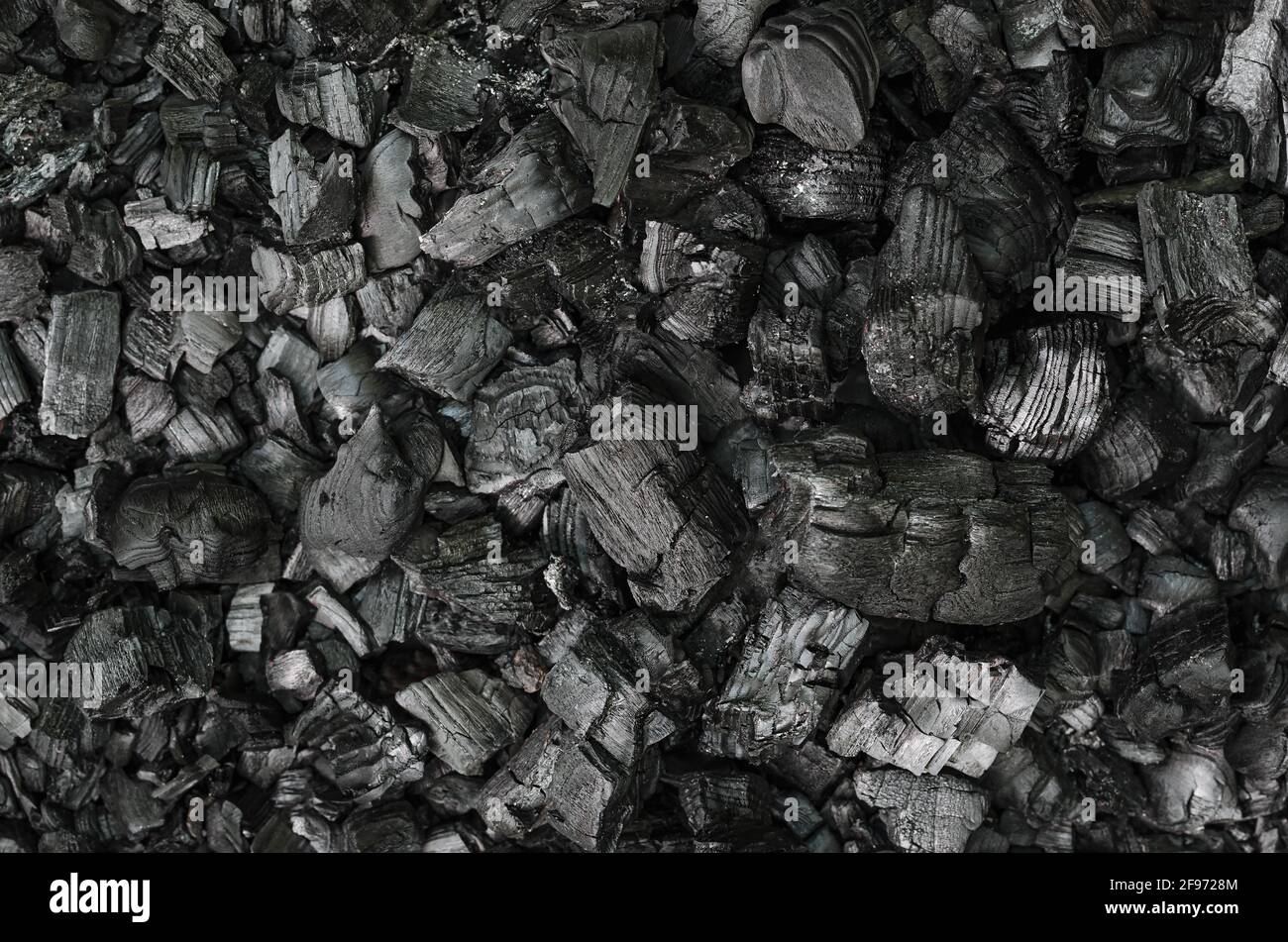Black and gray pieces of burnt branches, in the remains of an extinguished fire. Charred branches and big chunks of charcoal on the ground. Stock Photo