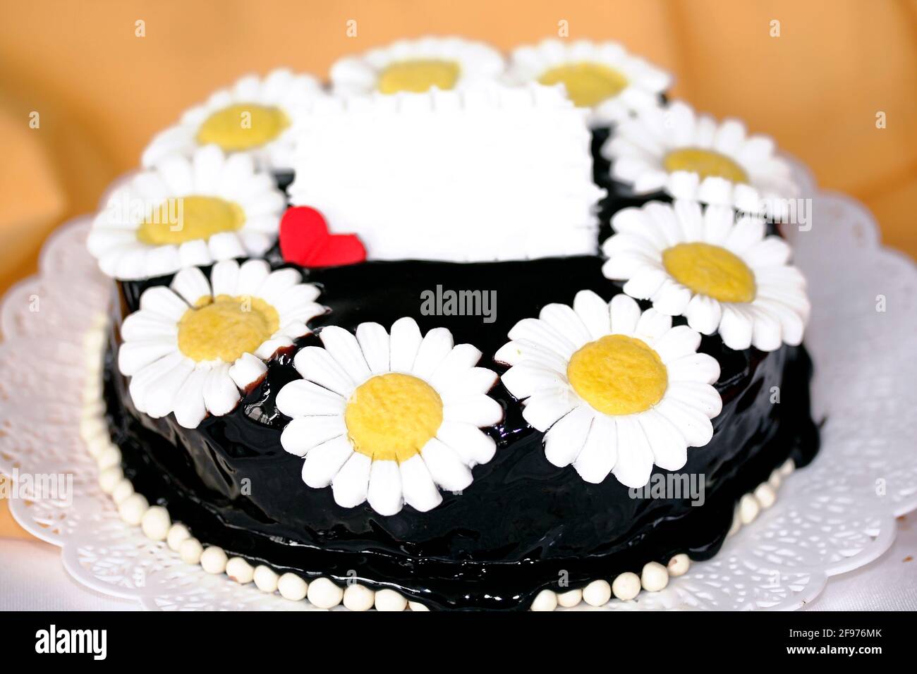 dark chocolate ganache cake white daisy flower with yellow center Stock  Photo - Alamy
