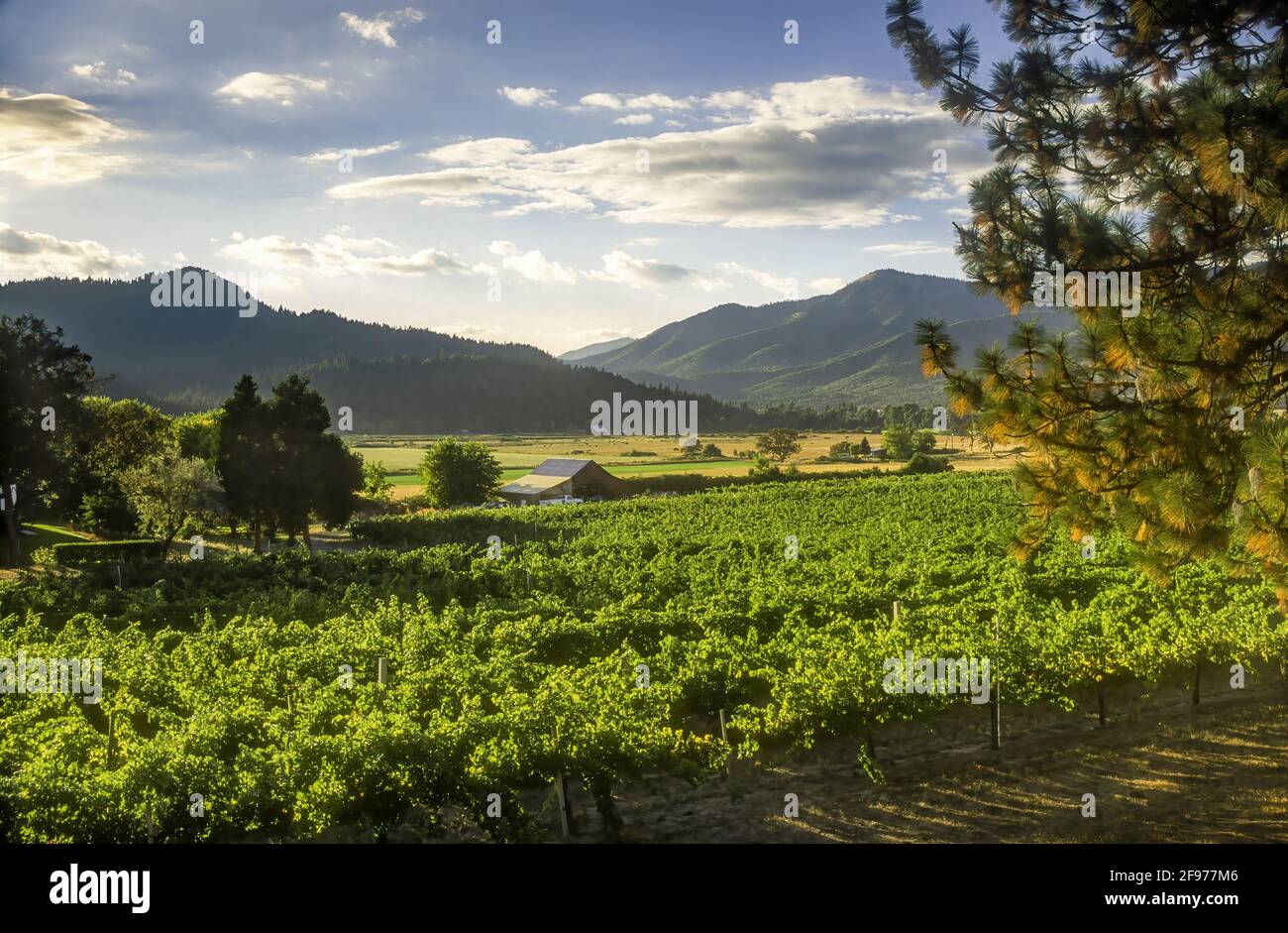 Valley View Winery in the Applegate Valley AVA of southwestern Oregon. Stock Photo