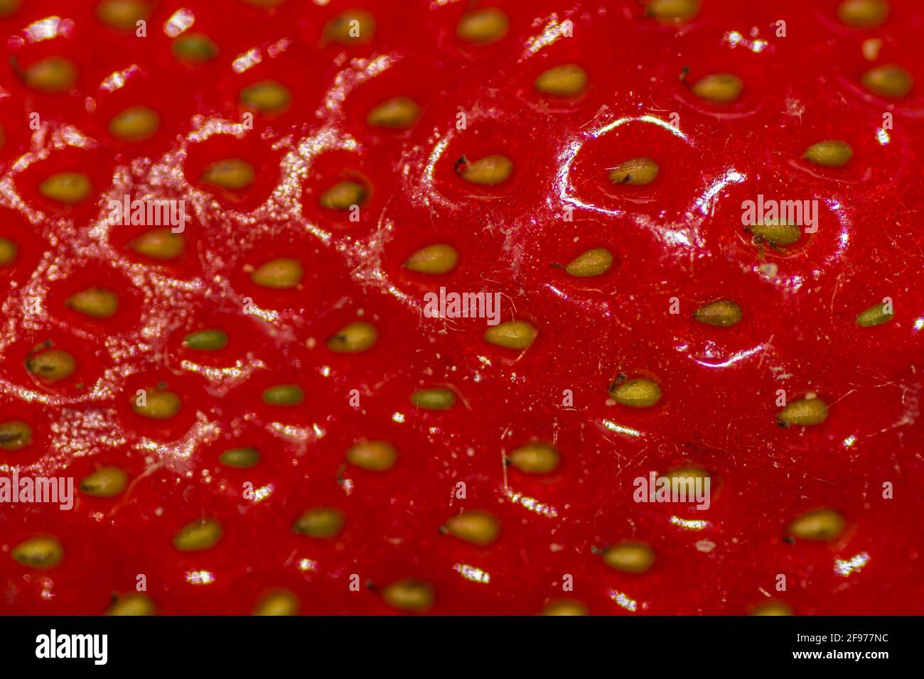 fresh juicy red strawberry macro view Stock Photo - Alamy