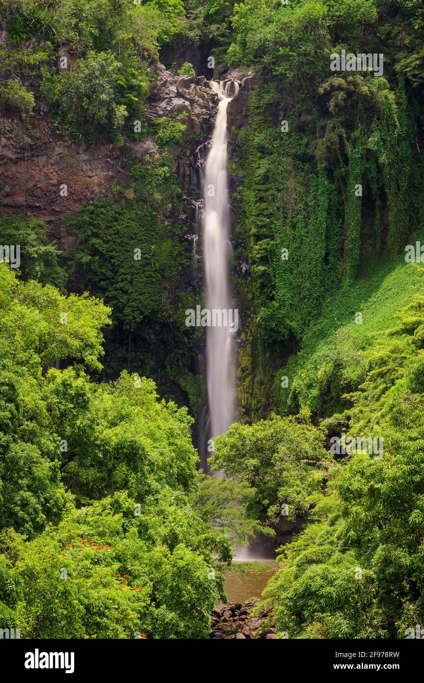 Makahiku Falls cascades 185ft along Pipiwai Trail in the Kipahulu District of Haleakala National Park, Maui, Hawaii. Stock Photo