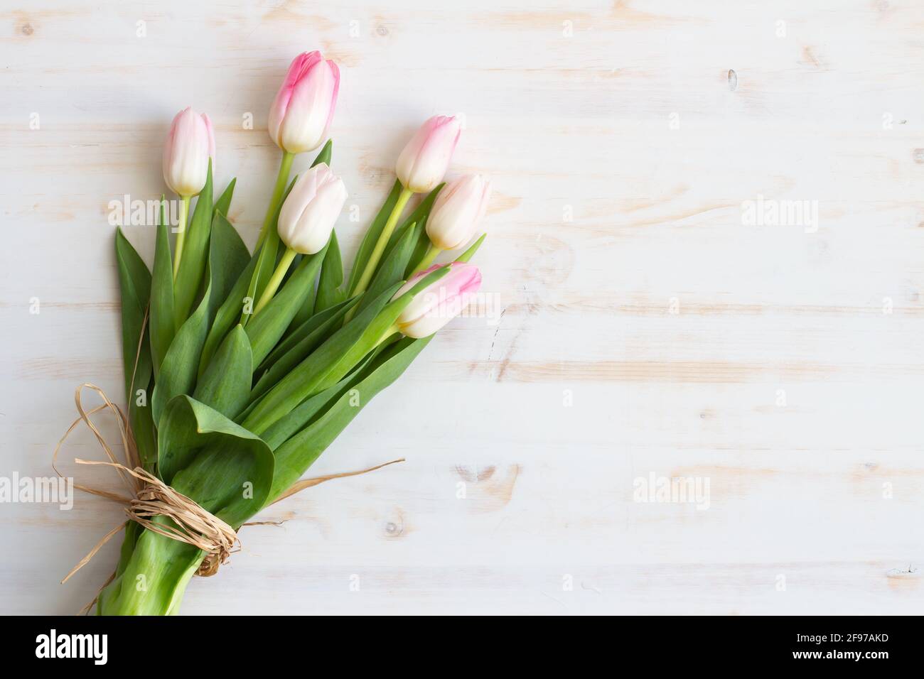 Bouquet of light pink tulips laying on white wood table with copy space ...