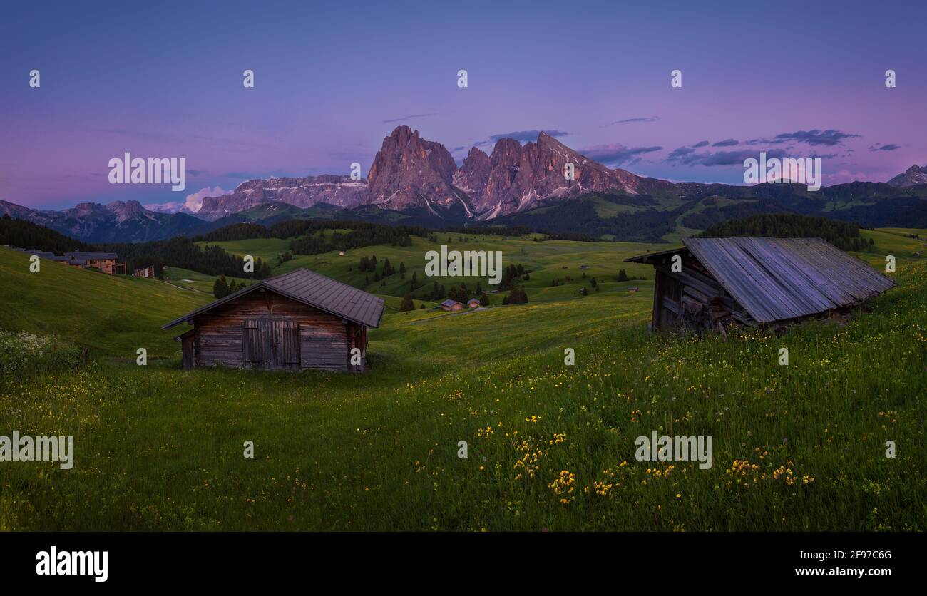 neadiws-hi-res-stock-photography-and-images-alamy