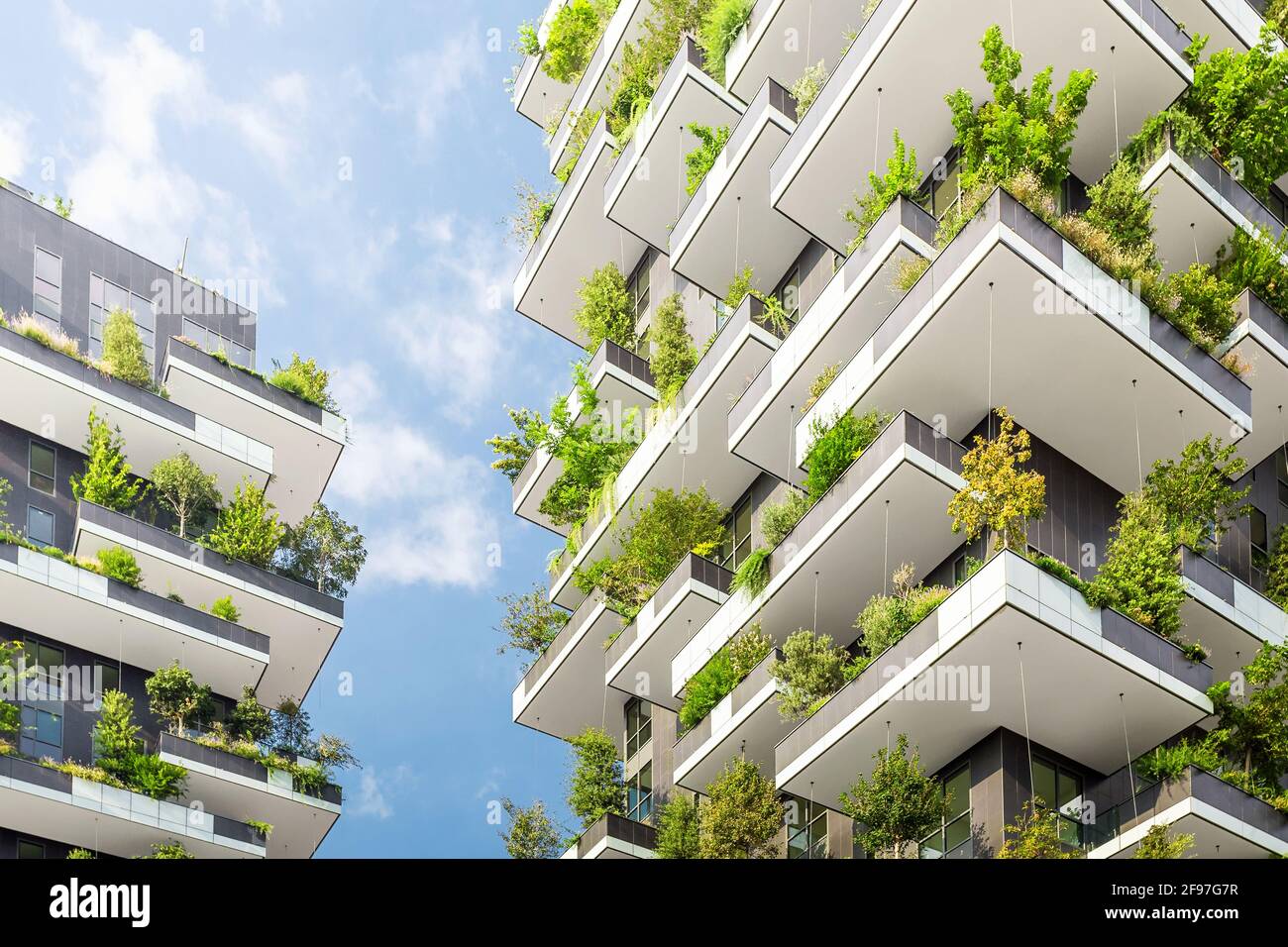 View of Green Skyscrapers Coloring Page for Seniors | Eco-City Fun