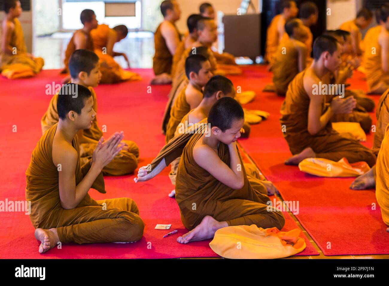 Thailand, Chiang May, temple Wat Chedi Luang, prayer hall, young monks, Stock Photo