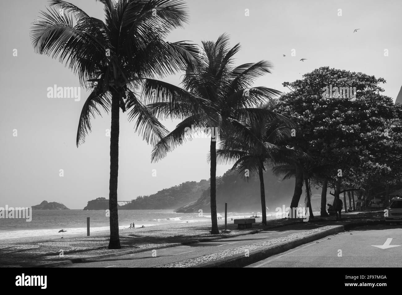 Leblon beach promenade next to Ipanema with palm trees and Morro dois Iramaos (two brothers Mountain) in Background in Rio de Janeiro, Brazil. Shot in black and white with Leica M10 Stock Photo