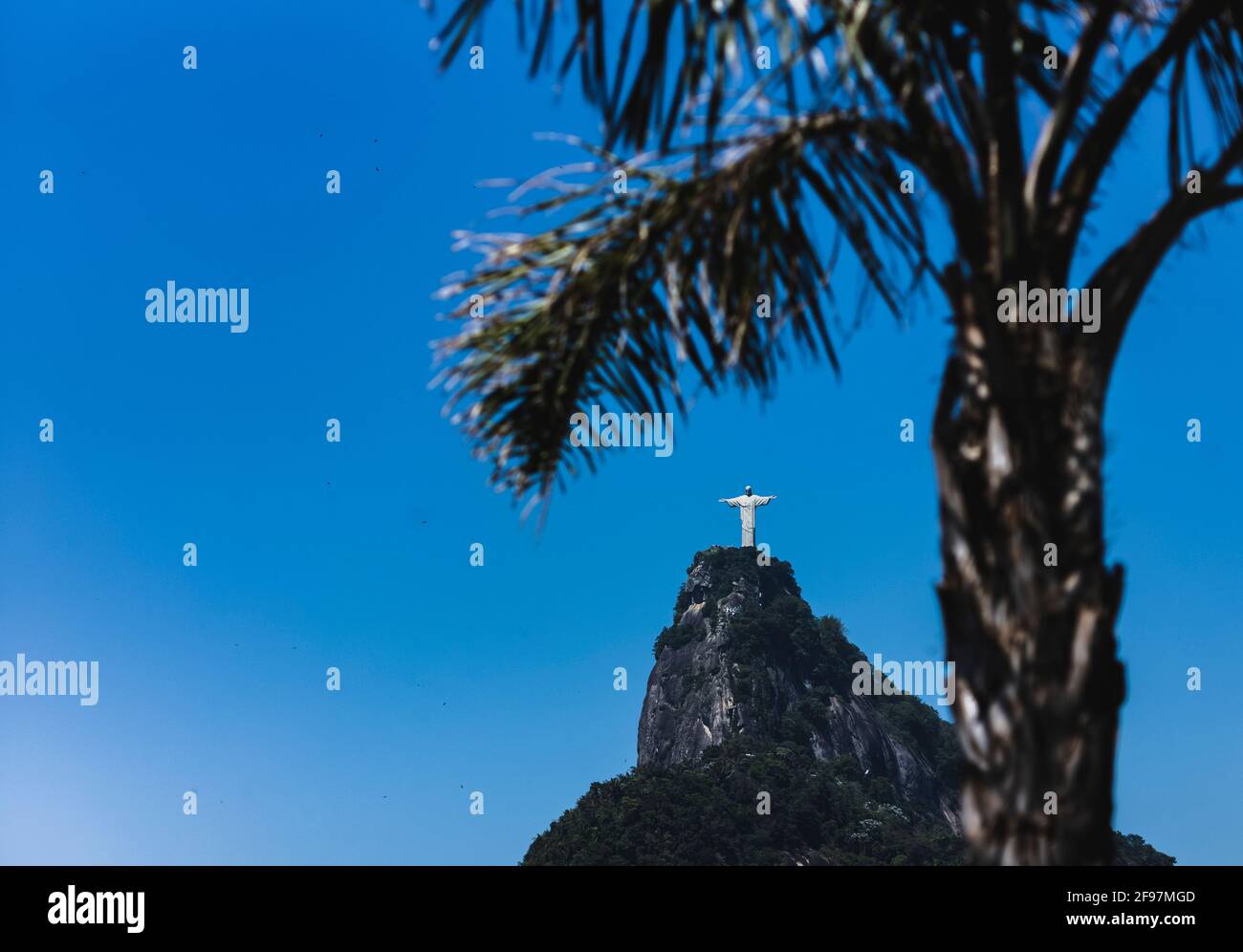 Hidden behind a palm tree: Christ the Redeemer statue (Christo Redentor) standing on corcovado mountain in Rio de Janeiro, Brazil as a worldwide symbol for peace - Shot with Leica m10 Stock Photo