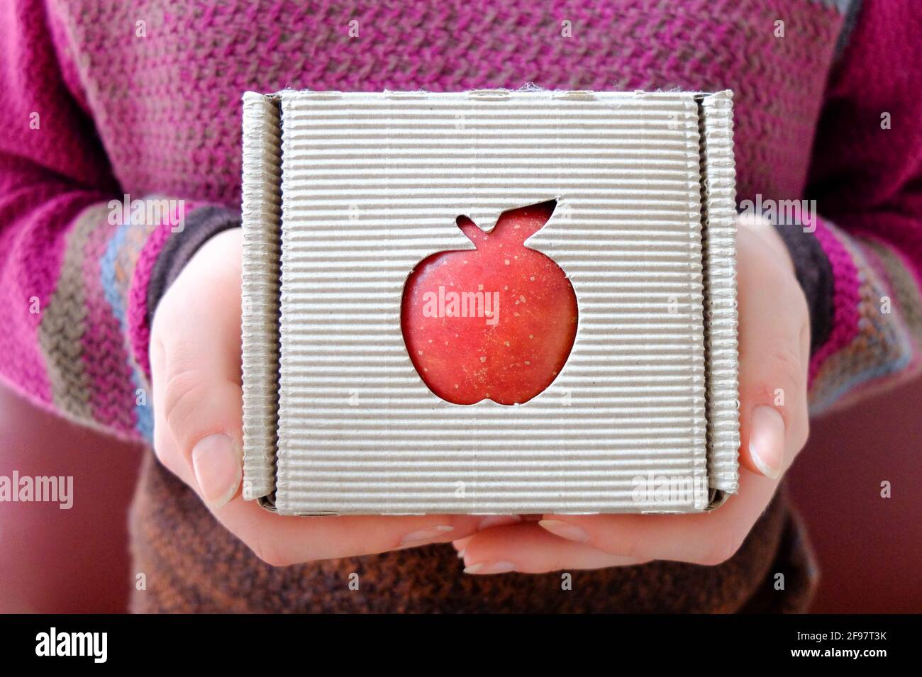 Red apple as a gift (Malus domestica) Stock Photo