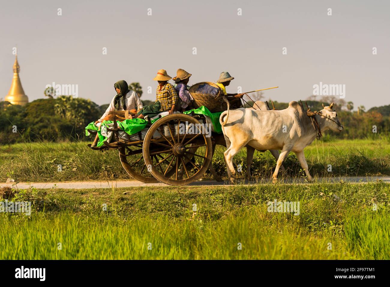 Myanmar, Inwa, dirt road, ox cart, transport, people, Stock Photo