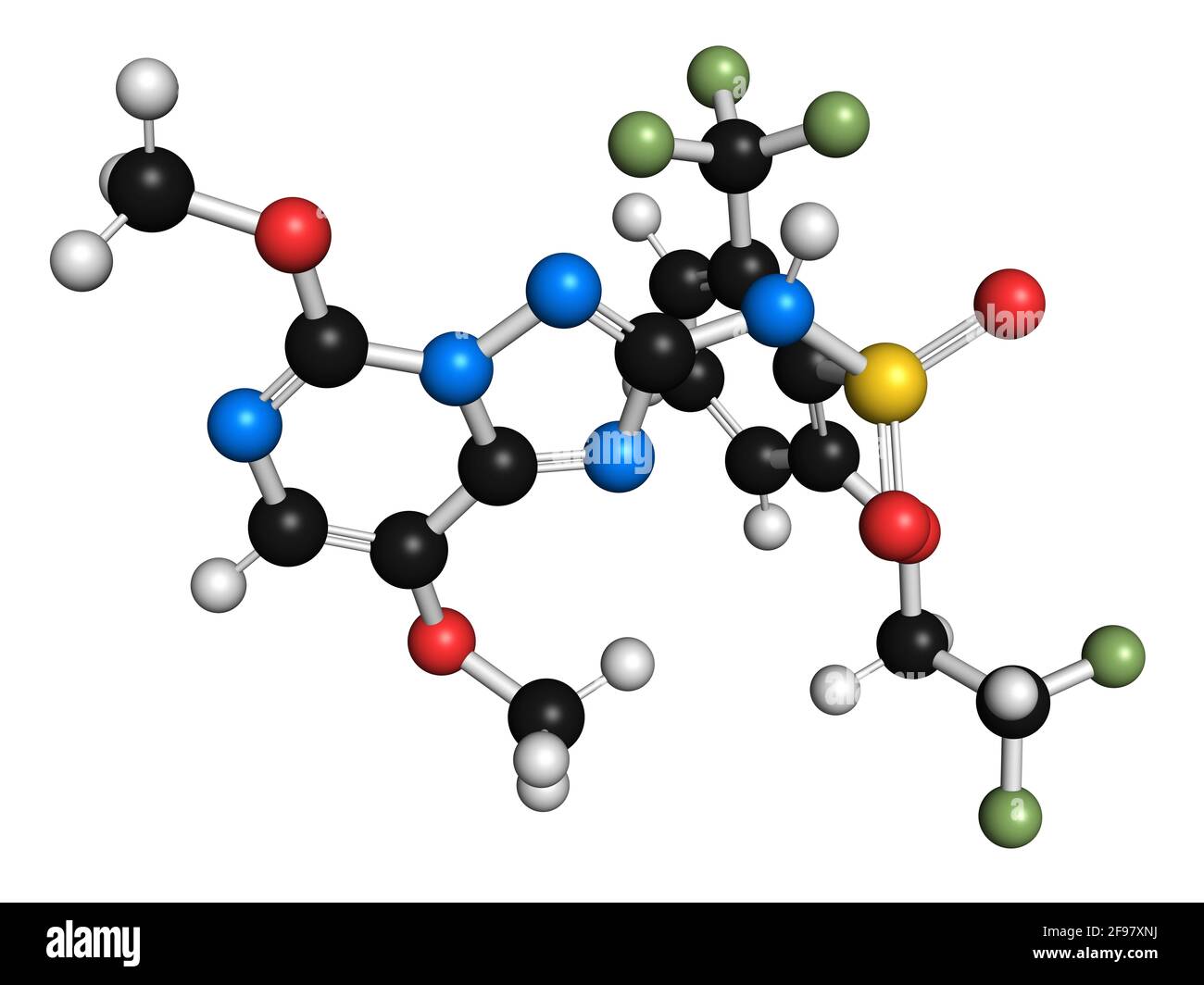 Penoxsulam herbicide molecule, illustration Stock Photo